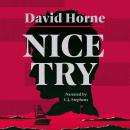 Nice Try Audiobook