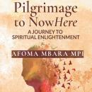 Pilgrimage to Nowhere: A journey to Spiritual Enlightenment Audiobook