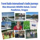 Blue Mountain Wildlife Rescue and Rehabilitation Center: Where rescued wildlife receives care Audiobook