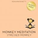 Stressed Monkey Meditation – Meditation For Reducing Stress, Benjamin P. Bonetti