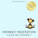 Sleeping Monkey Meditation – Meditation For Deep Sleep Audiobook