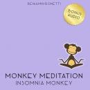 Insomnia Monkey Meditation – Meditation For Insomnia