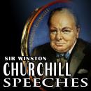 Never Give In: The Best of Winston Churhill's Speeches Audiobook