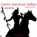 3 American indian stories Audiobook