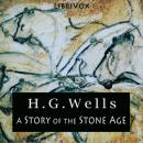 A Story of the Stone Age Audiobook