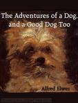 The Adventures of a Dog, and a Good Dog Too Audiobook