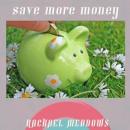 Save More Money Now Hypnosis: Financial Success & Control Spending, Guided Meditation, Positive Affi Audiobook