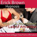 Law of Attraction: Wealth & Abundance Audiobook