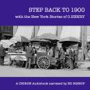 New York Stories of O.Henry Audiobook