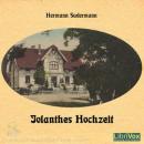 [German] - Jolanthes Hochzeit Audiobook