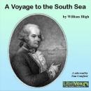 A Voyage to the South Sea Audiobook