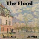 The Flood Audiobook