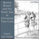 Bunny Brown and his Sister Sue at Christmas Tree Cove Audiobook