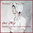 Our Nig, or, Sketches from the Life of a Free Black, In A Two-Story White House Audiobook
