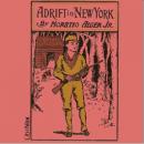 A drift in New York Audiobook