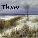Thaw Audiobook