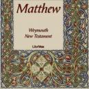 Bible (WNT) NT 01: Matthew Audiobook