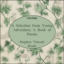 Young Adventure, A Book of Poems Audiobook