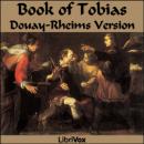 Bible (DRV) Apocrypha/Deuterocanon: Book of Tobit (Tobias) Audiobook