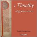 Bible (KJV) NT 15: 1 Timothy Audiobook