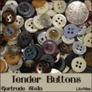 Tender Buttons Audiobook