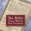 Bible (DRV) NT Audiobook