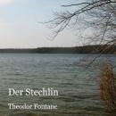 [German] - Der Stechlin Audiobook
