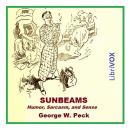 Sunbeams Audiobook