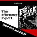The Efficiency Expert Audiobook