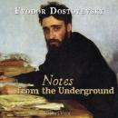 Cover of Notes From The Underground (Version 2)