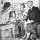 The Story of Wool Audiobook