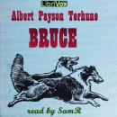 Bruce Audiobook
