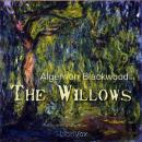 The Willows Audiobook
