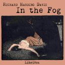 In the Fog Audiobook