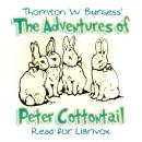 The Adventures of Peter Cottontail Audiobook