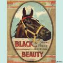 Cover of Black Beauty - Young Folks' Edition