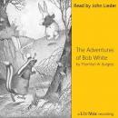 The Adventures of Bob White Audiobook