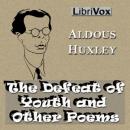 Cover of The Defeat of Youth and Other Poems