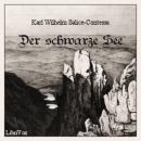 [German] - Der schwarze See Audiobook