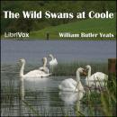 The Wild Swans at Coole Audiobook
