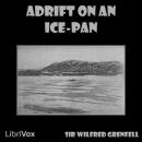 Adrift on an Ice-Pan Audiobook
