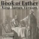 Bible (KJV) 17: Esther Audiobook