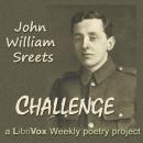Challenge Audiobook