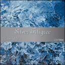 Silver Filigree Audiobook