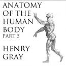 Anatomy of the Human Body, Part 5 Audiobook