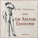 The Amateur Cracksman Audiobook