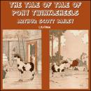 Cover of The Tale of Pony Twinkleheels
