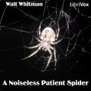 A Noiseless Patient Spider Audiobook