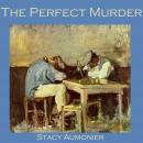 The Perfect Murder Audiobook