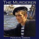 The Murderer Audiobook